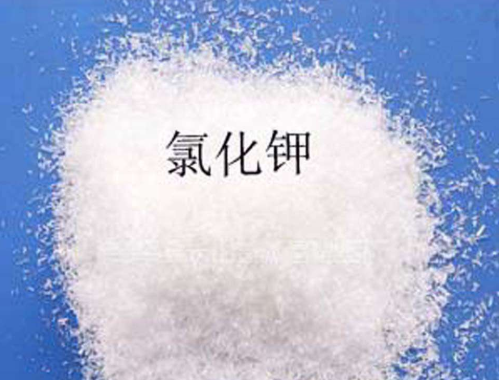 優質草莓影院在线观看